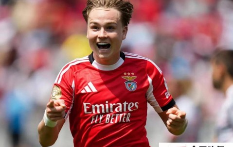 开云体育- ぁたし天使の堪忍袋翻译 